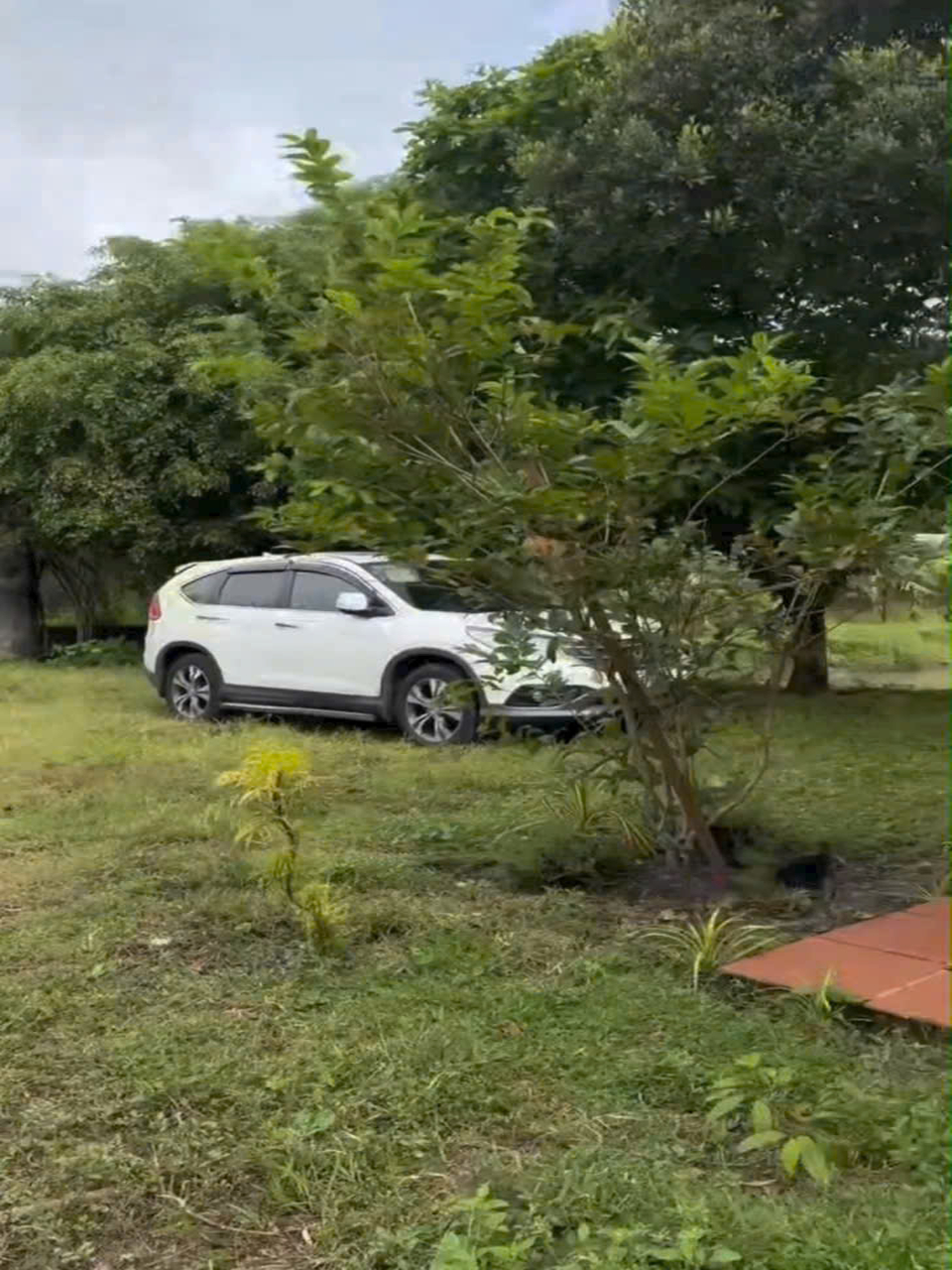 1Ha Đất SHR HXH – Trung Lập Hạ Củ Chi SS