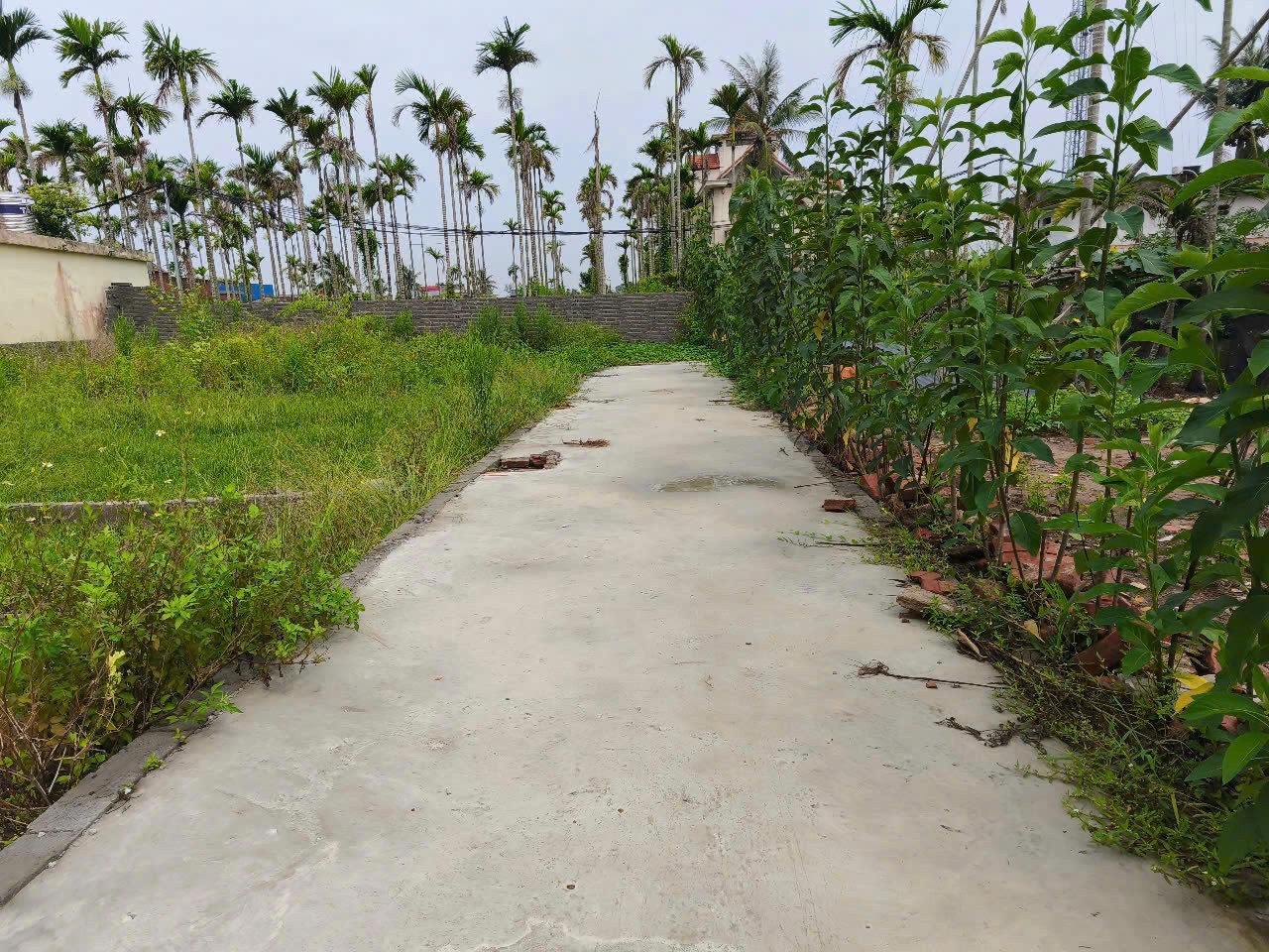 Lô nhỏ 44m² giá hiếm Hoà Nghĩa – gần đường 4 làn, thanh khoản cực nhanh ZALO 0567 222 555