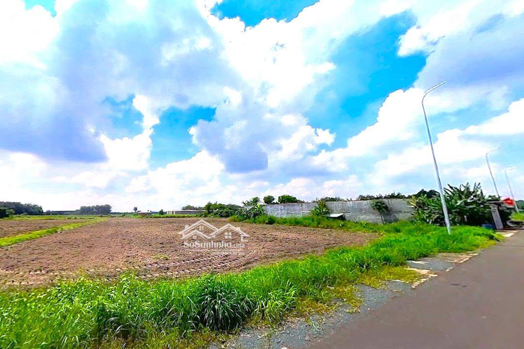 Bán Rẻ Sào đất (20x100=2000m2) Gần Hồ Du Lịch Thanh An, Dân Cư đông, Thuận Tiện Buôn Bán, 500tr