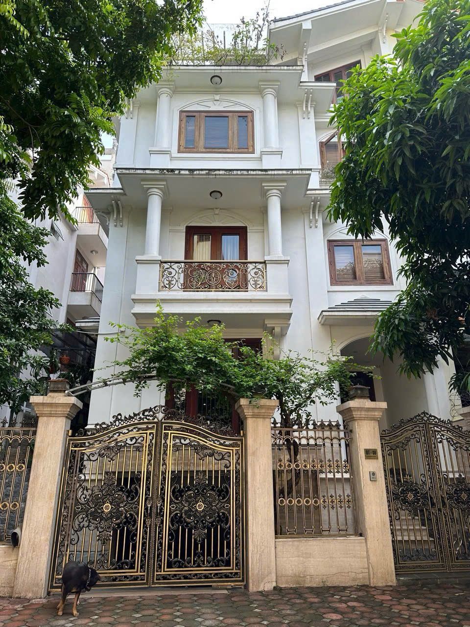 TUYỆT VỜI QUÁ BIỆT THỰ CỰC ĐẸP , QUẬN HAI BÀ TRƯNG