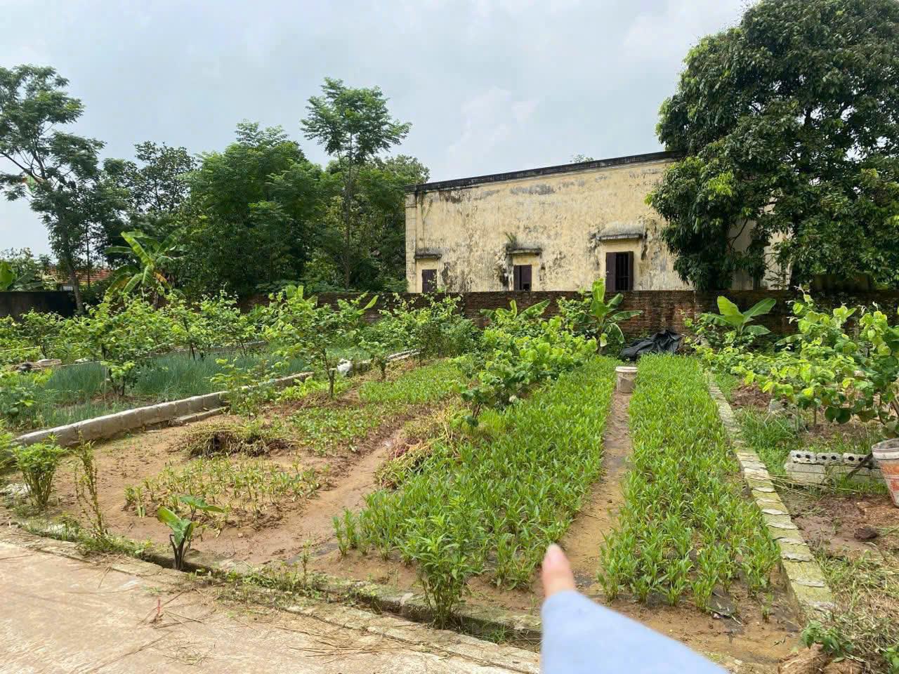 SỞ HỮU NGAY ĐẤT ĐẸP - GIÁ TỐT - Vị Trí Đắc Địa Tại Chương Dương, Thường Tín, Hà Nội