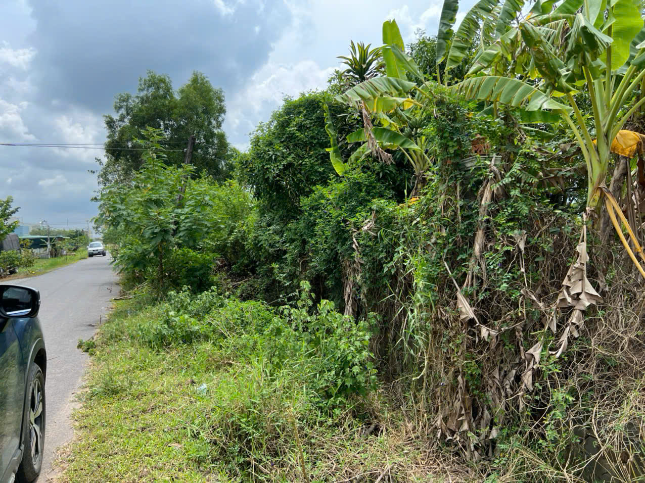 SIÊU PHẨM ĐẤT ĐẸP CHÍNH CHỦ - Phù Hợp Cho Mọi Gia Đình