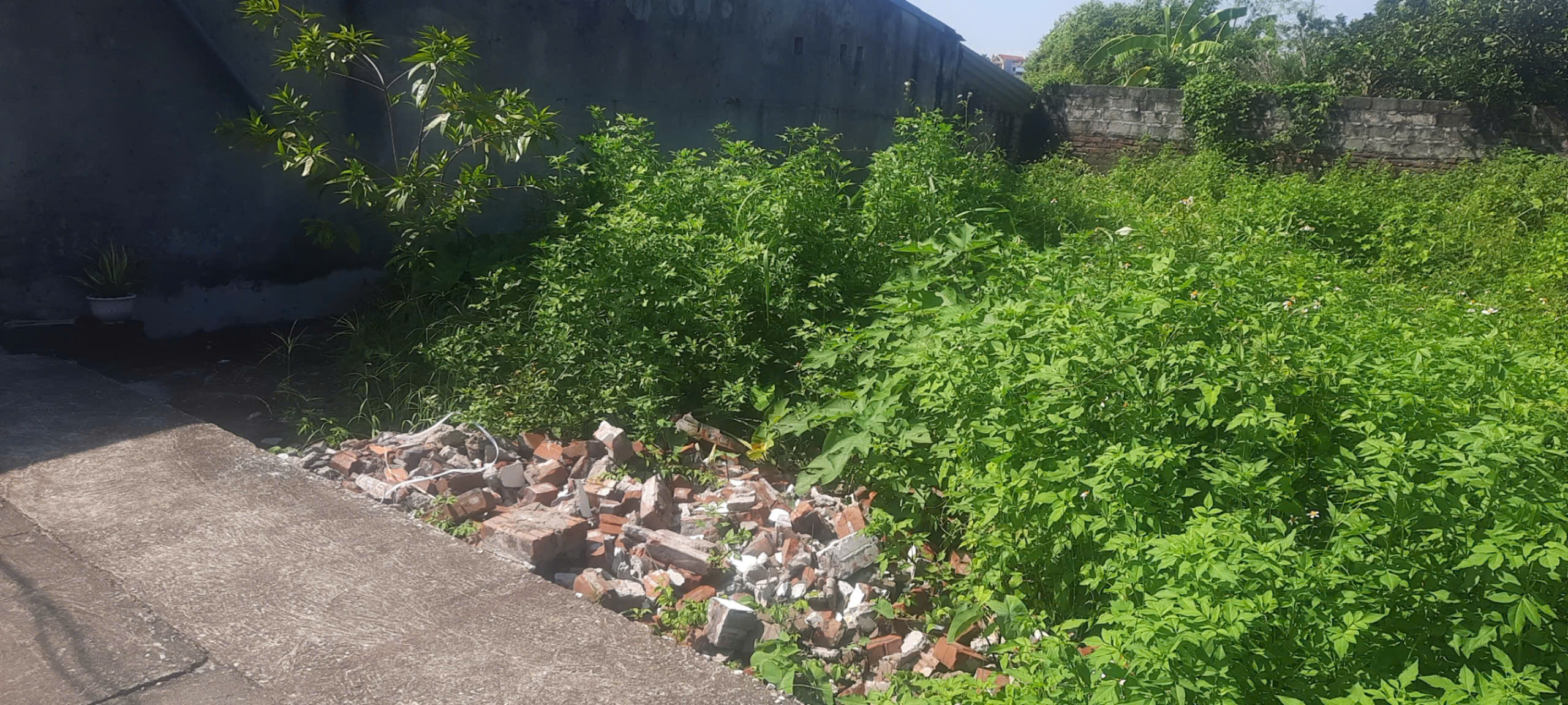 BÁN ĐẤT MẶT ĐƯỜNG - KINH DOANH - Ô TÔ TRÁNH - ĐÔNG MỸ - THANH TRÌ - DIỆN TÍCH 77M2