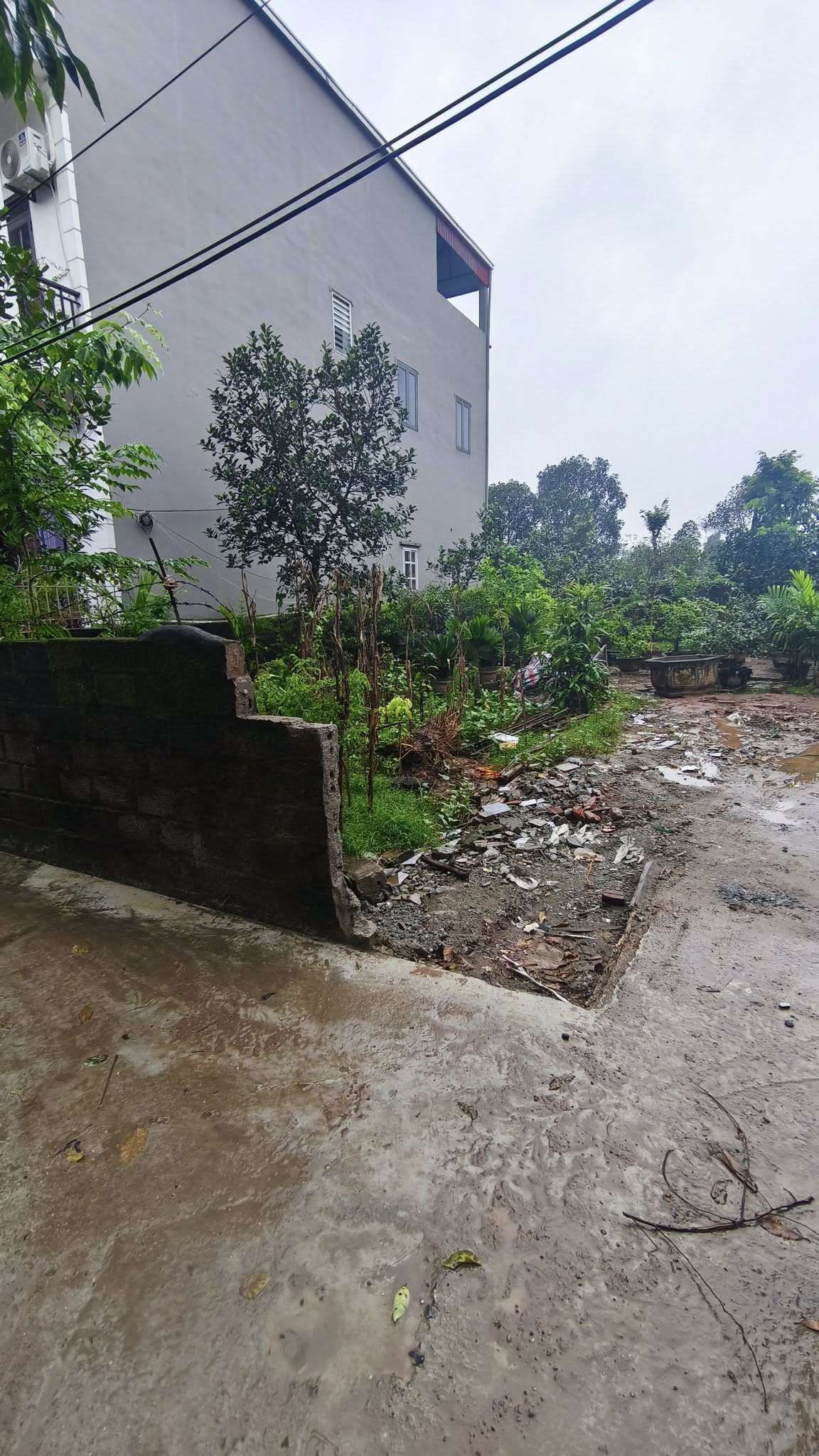 ĐẤT CAO VIÊN THANH OAI, 83M, MT8M, GÁ 2,75 TỶ