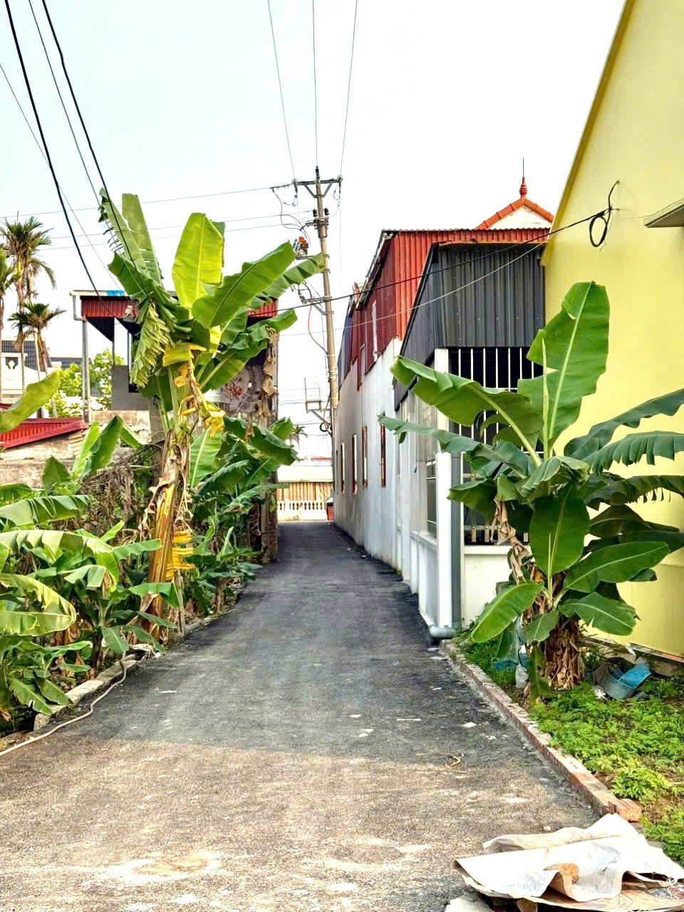 Lô 61,5m² giá F0 duy nhất tại Trung Nghĩa – Đồ Sơn chỉ hơn 6xx triệu ZALO 0567 222 555