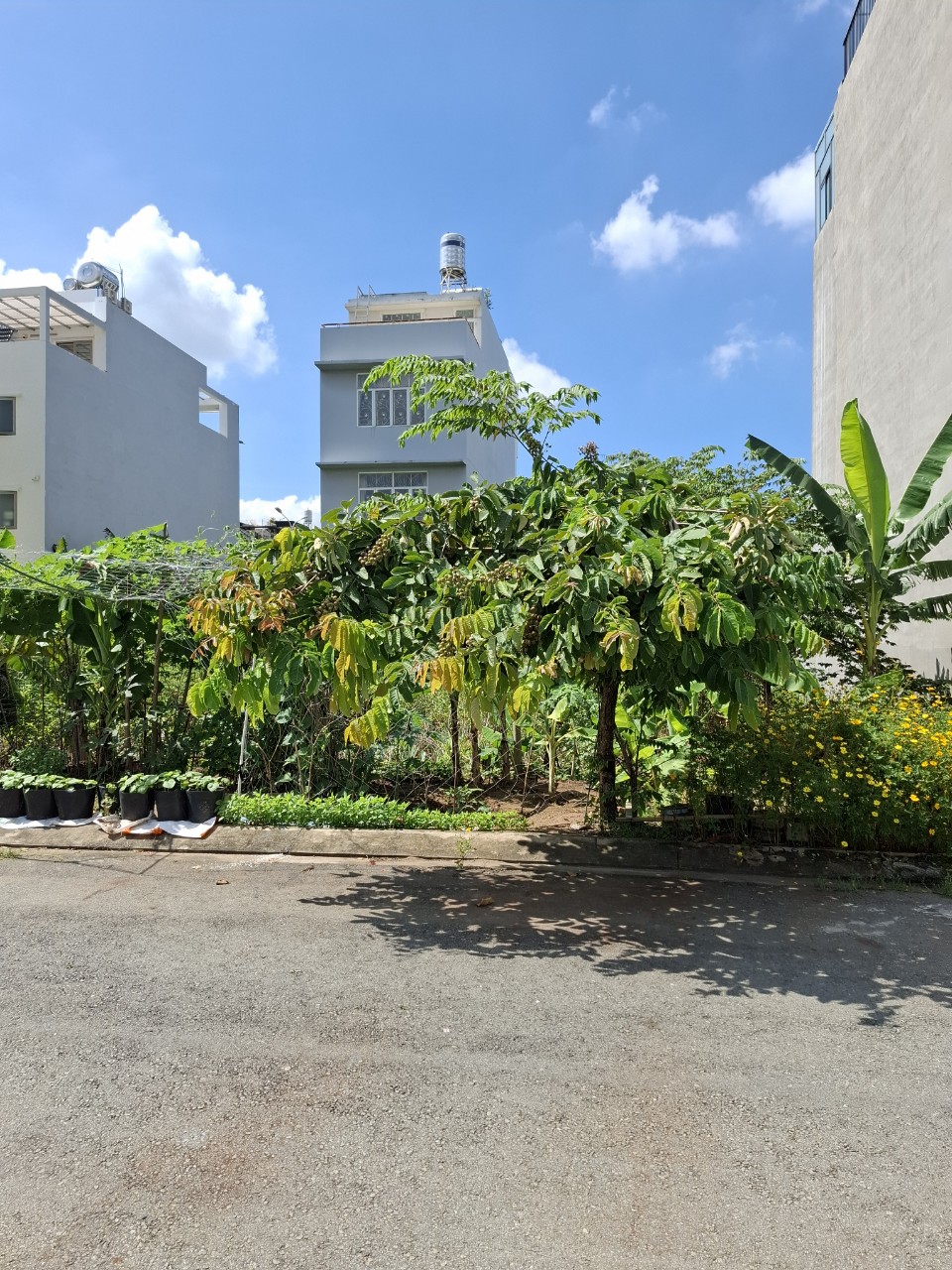 Bán đất đường 659 Phước Long B Quận 9 giá 15 tỷ