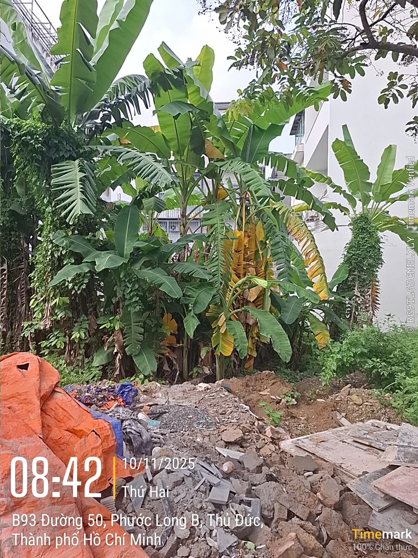 Bán đất mặt tiền M1 Phường Phước Long B quận 9 giá 12 tỷ