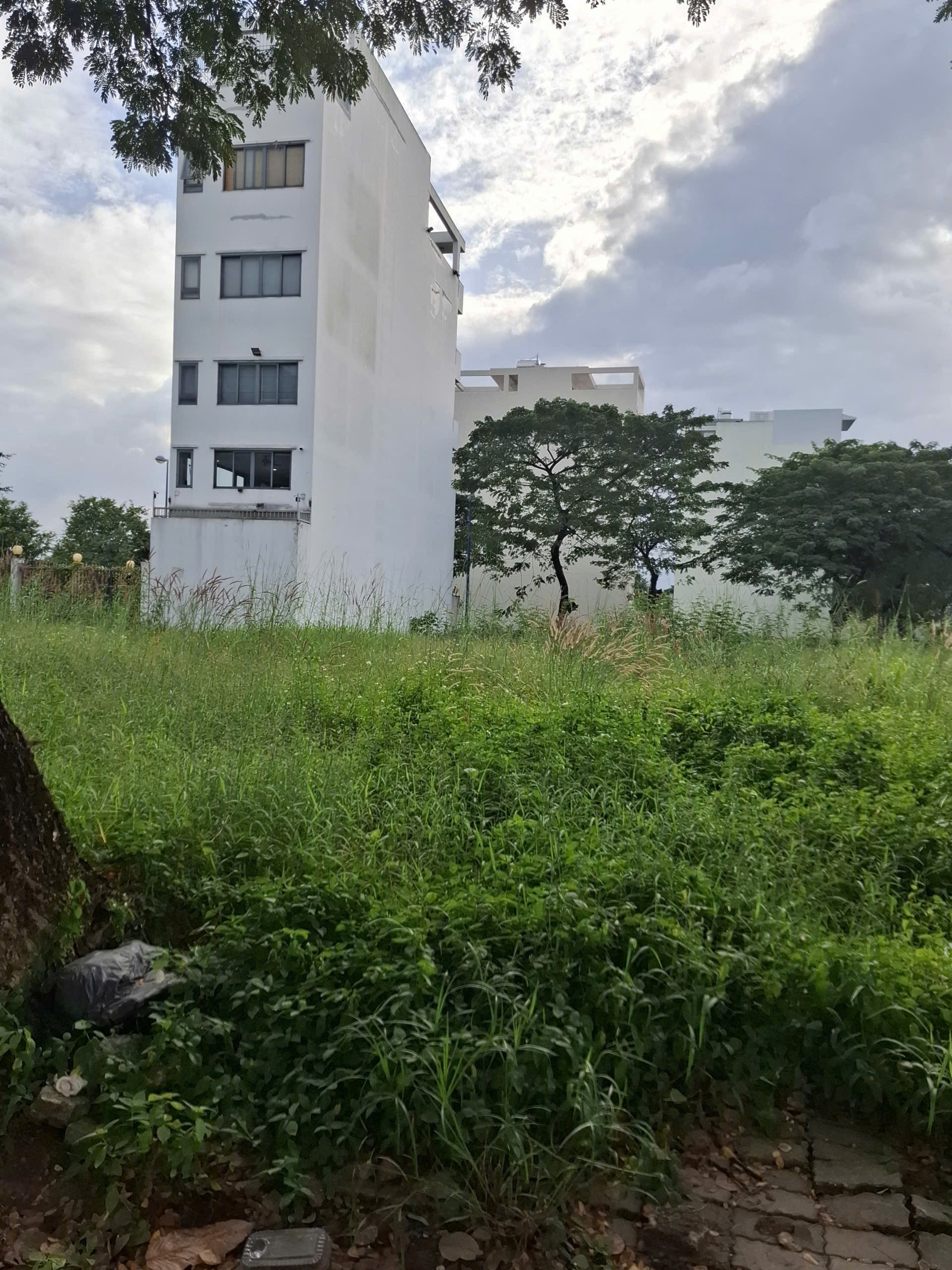 Bán đất mặt tiền Nguyễn Văn Kỉnh Quận 2 giá 30 tỷ