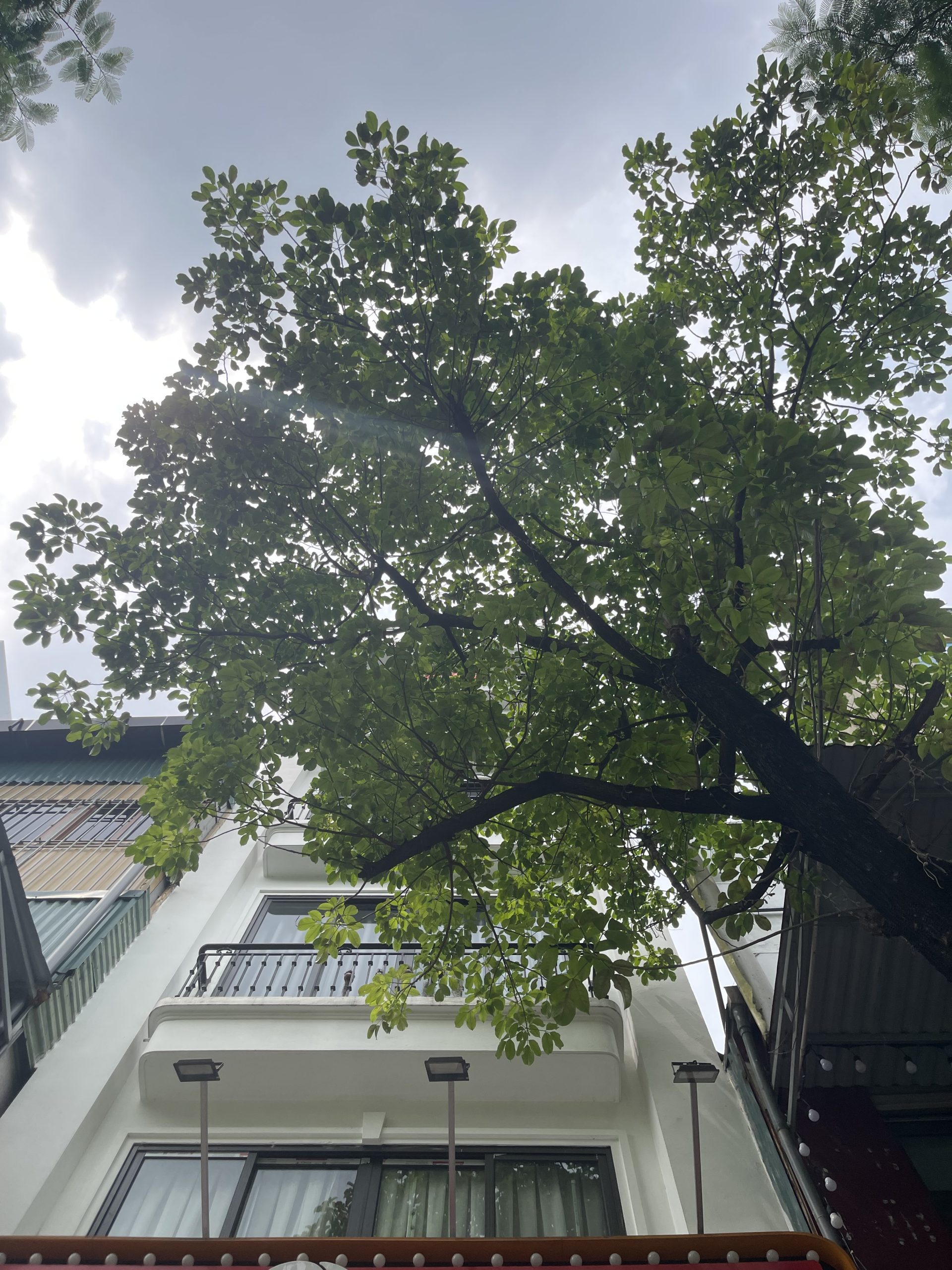 SIÊU PHẨM VỊ TRÍ VÀNG ĐẦU TƯ & KHAI THÁC KINH DOAH