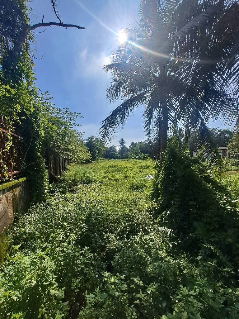 Bán đất HNK - Lô Góc - Mặt Tiền - Thạnh Xuân 52- 3600m2- SHR , giá 40 tỷ