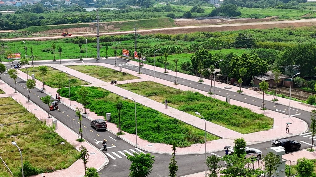 Đất Nền BR-VT Hạ Tầng Hoàn Thiện nhựa 12m tiện ích 4.000m² SHR – Giá Chỉ 980 Triệu