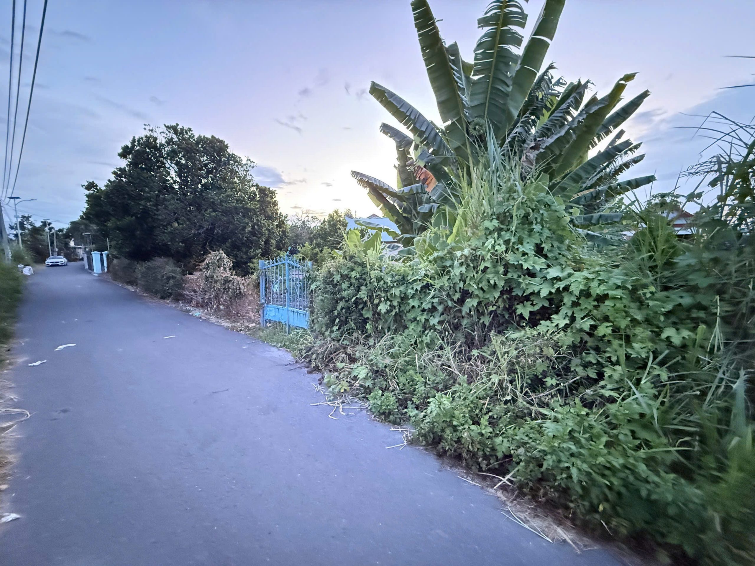 án lô đất 3 mặt tiền đường Thành Hồ - Diên Phước - Diên Khách - Dt: 534m2( 70m2 thổ) - Mặt tiền đường nhựa Thành Hồ