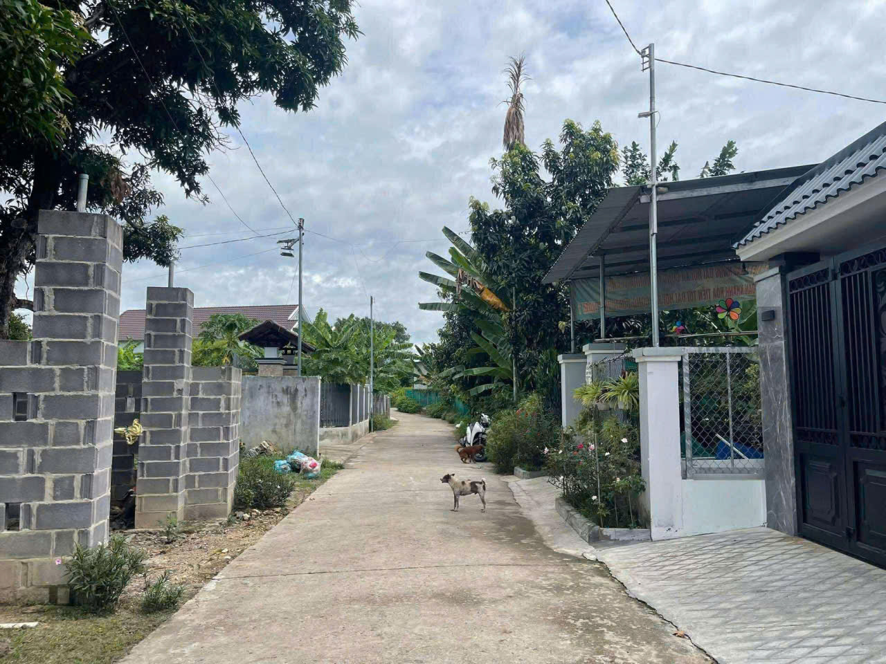 cần bán lô đất Diên an-Diên khánh- Nha Trang Dt:254m có thổ ngang 5m nở hậu 7,6m Đường bê tông 6m thông ra Đại Lộ Võ