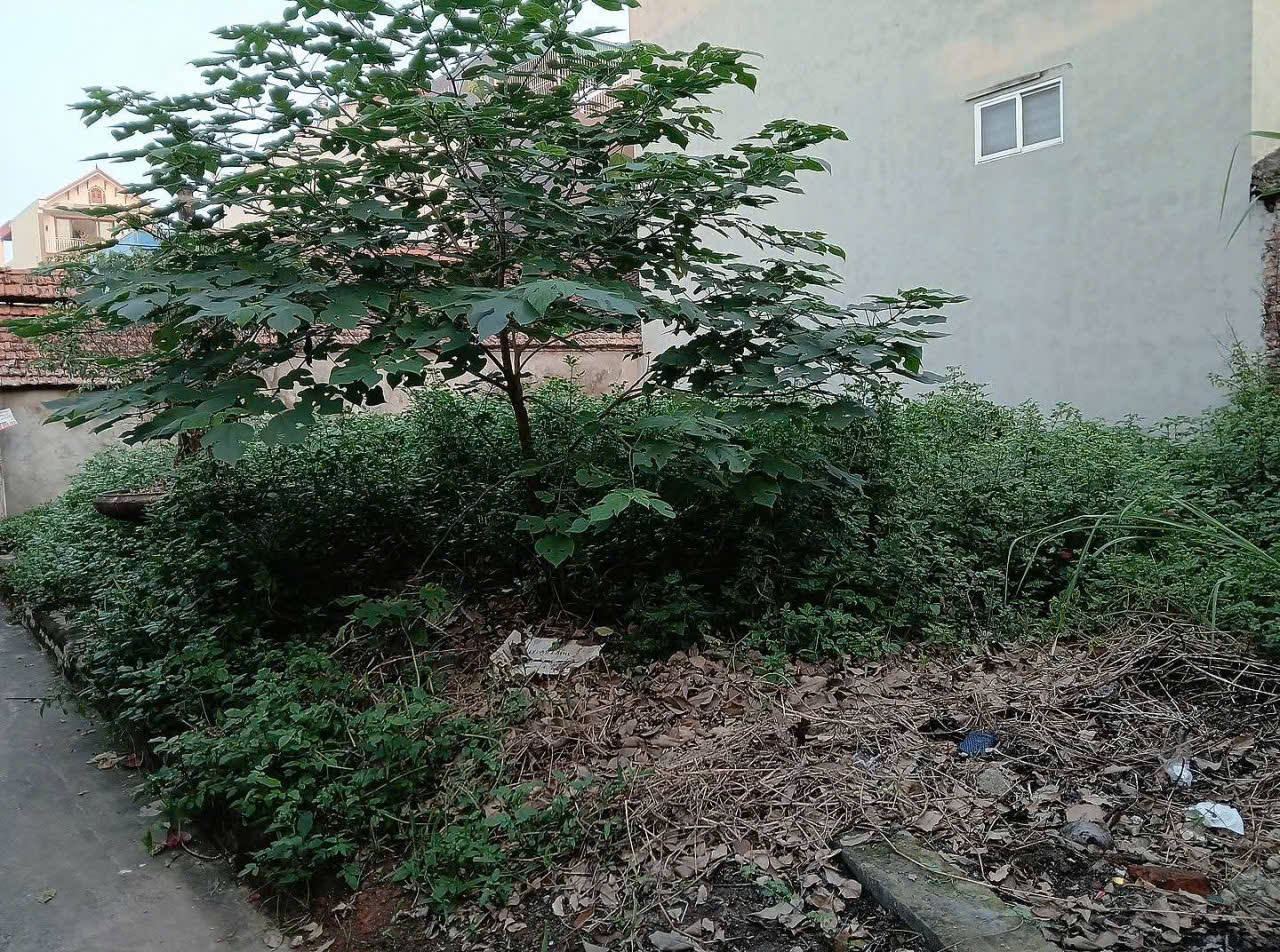 CC EM CẦN TIỀN MUỐN LÔ ĐẤT Ở HIỆP THẬN PHÚC THỌ. DIỆN TÍCH 42M - MẶT -HẬU 4M NHƯ NHAU, CÁCH ĐƯỜNG 32 CẦU PHÙNG CHỈ