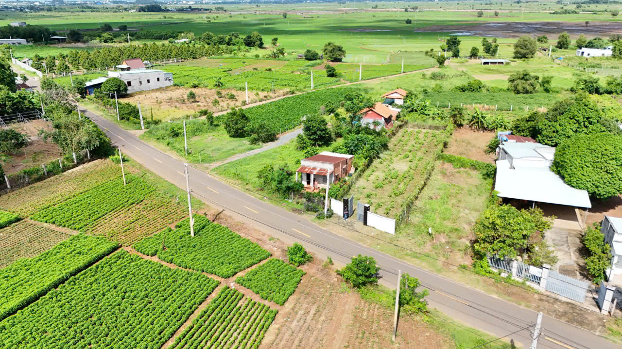 Chủ bán 500mv 100tc NAM Kì Khởi Nghĩa Đất Đỏ _ HCM