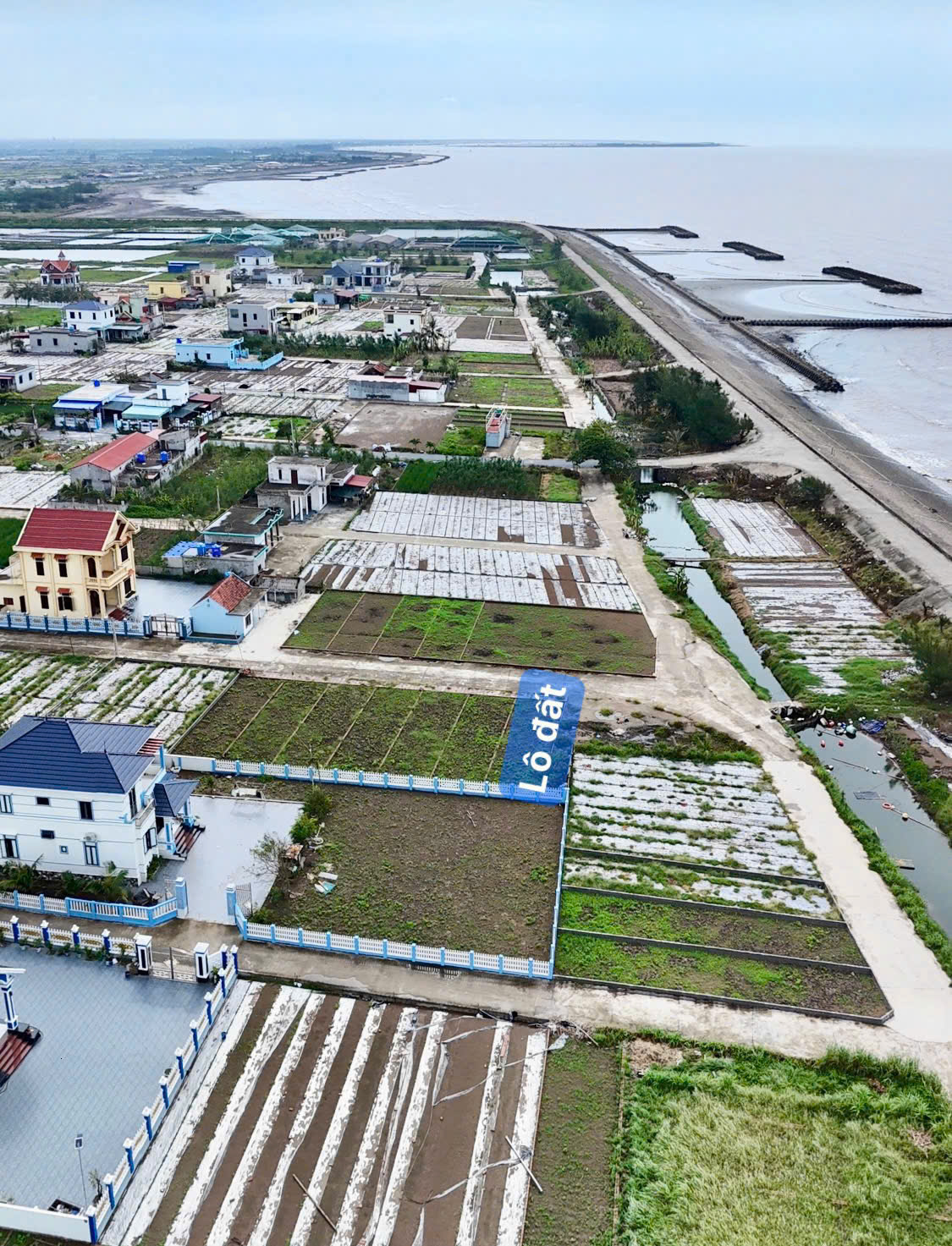 Em cần bán lô đất quất lâm ven biển 90m2 chỉ 1.5 tỷ thôi ạ!