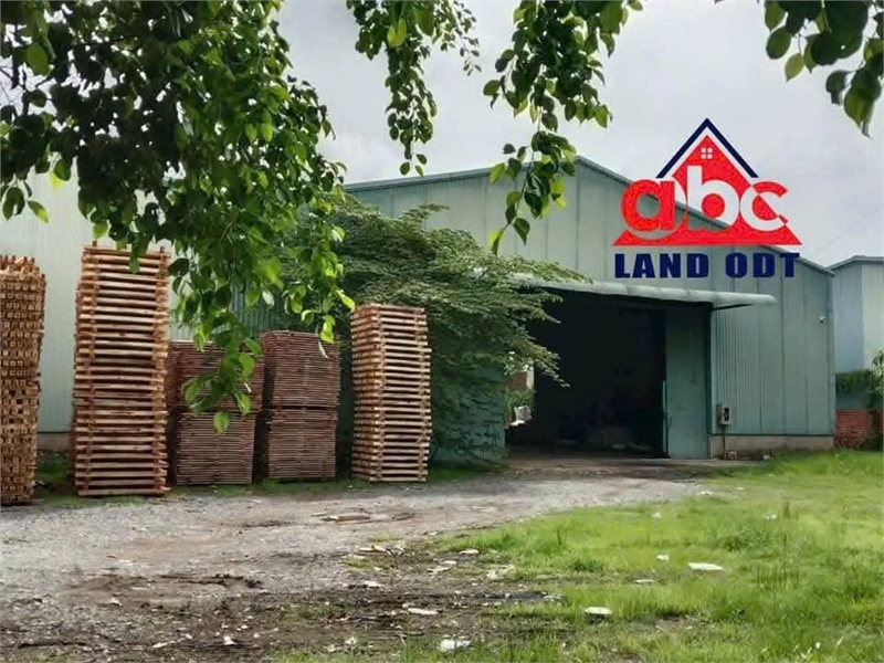 XT595 cho thuê nhà xưởng sản xuất xa khu dân cư, phù hợp đa dạng ngành nghề. giao liền