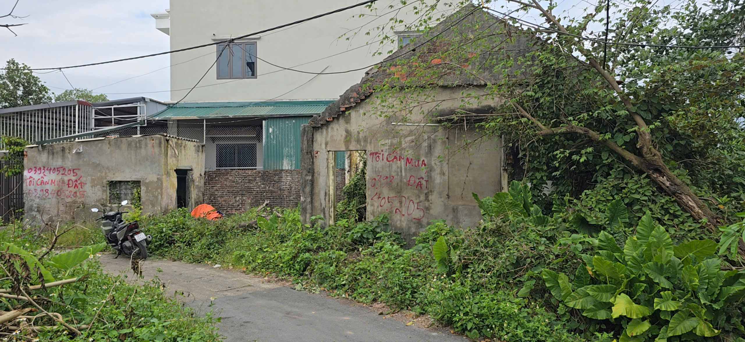 Bán đất đường Phú Mỹ, phường Biên Giang, quận Hà Đông (nay là phường Chương Mỹ), Hà Nội.