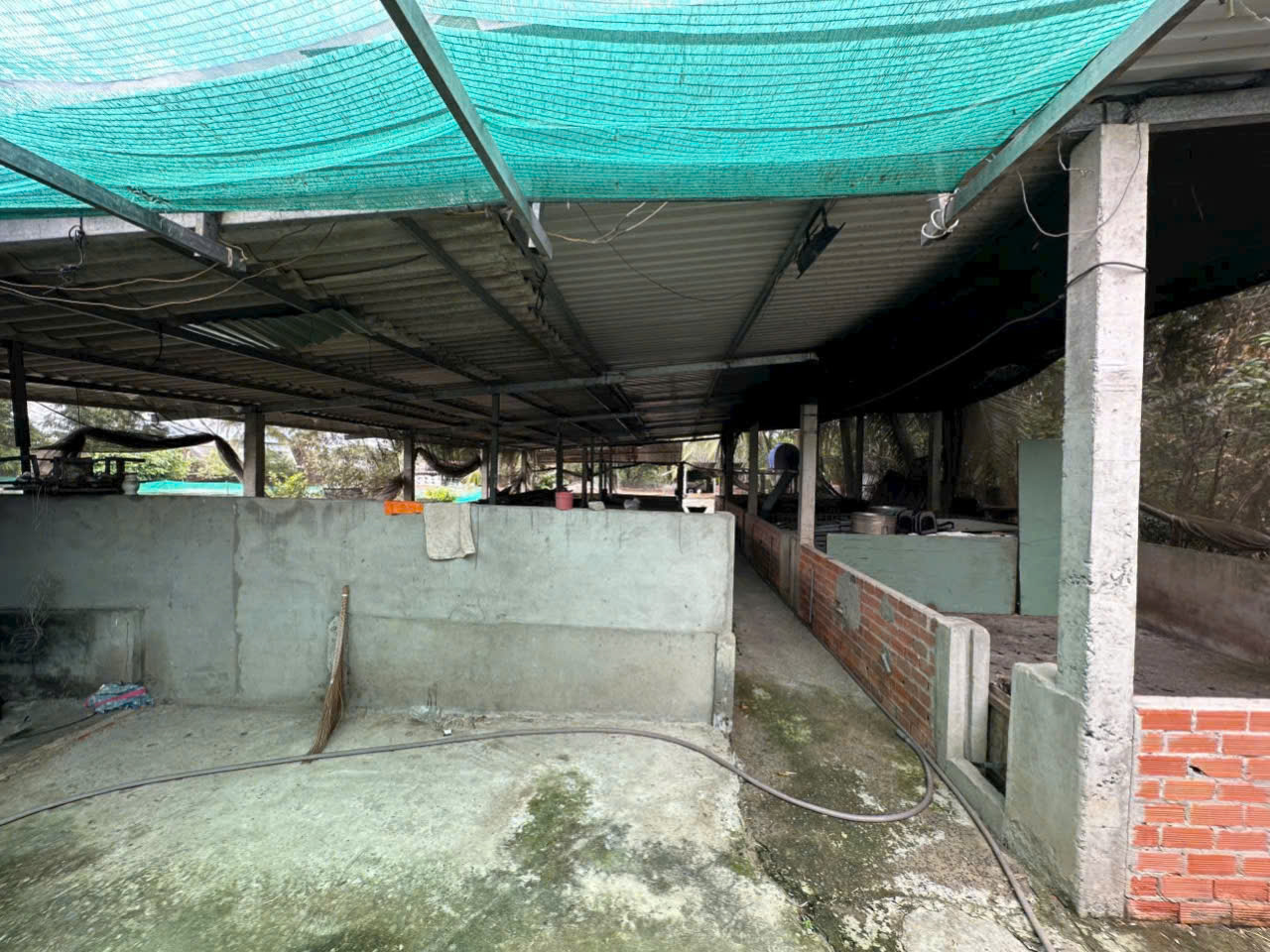 Bán đất 5100m2 (492m2 thổ) đường nhựa xã Thanh Phú, Bến Lức giá 37 tỷ