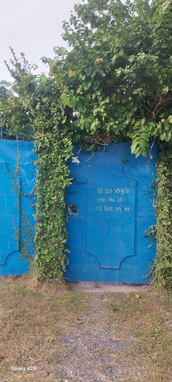 BÁN LÔ ĐẤT ĐẸP MẶT TIỀN ĐƯỜNG SÔNG LU – XÃ BÌNH MỸ, CỦ CHI