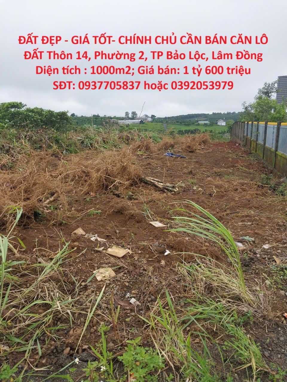 ĐẤT ĐẸP - GIÁ TỐT- CHÍNH CHỦ CẦN BÁN CĂN LÔ ĐẤT Thôn 14, Phường 2, TP Bảo Lộc, Lâm Đồng