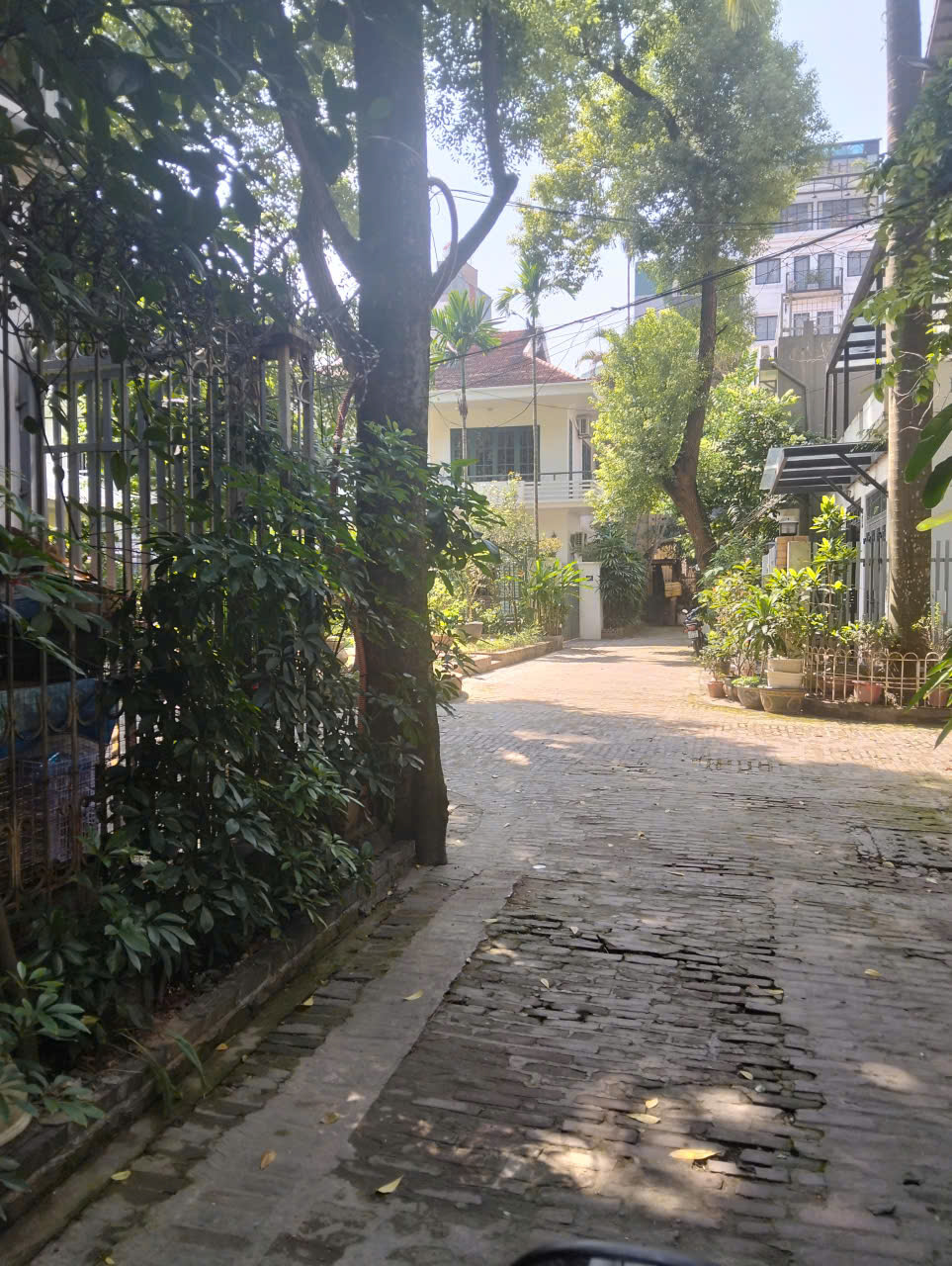 Siêu phẩm biệt thự Hồ Tây phố Võng Thị phân lô View vườn cây, 163m x 3 tầng MT 12.8m 96 tỷ