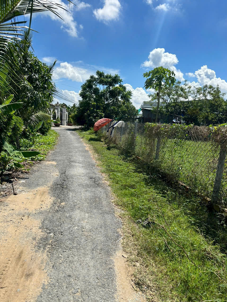 Bán 5 lô thổ cư liền kề xã Bình Tịnh, huyện Tân Trụ dt 197m2 giá 739 triệu 1 lô