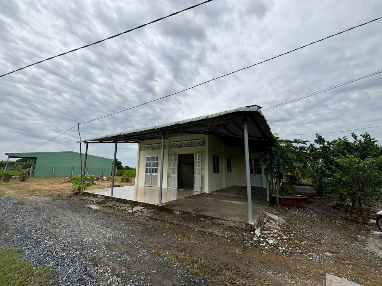 Bán nhà cấp 4 tổng dt 1300m2 đất lúa xã Đức Tân, Tân Trụ giá 1,2 tỷ