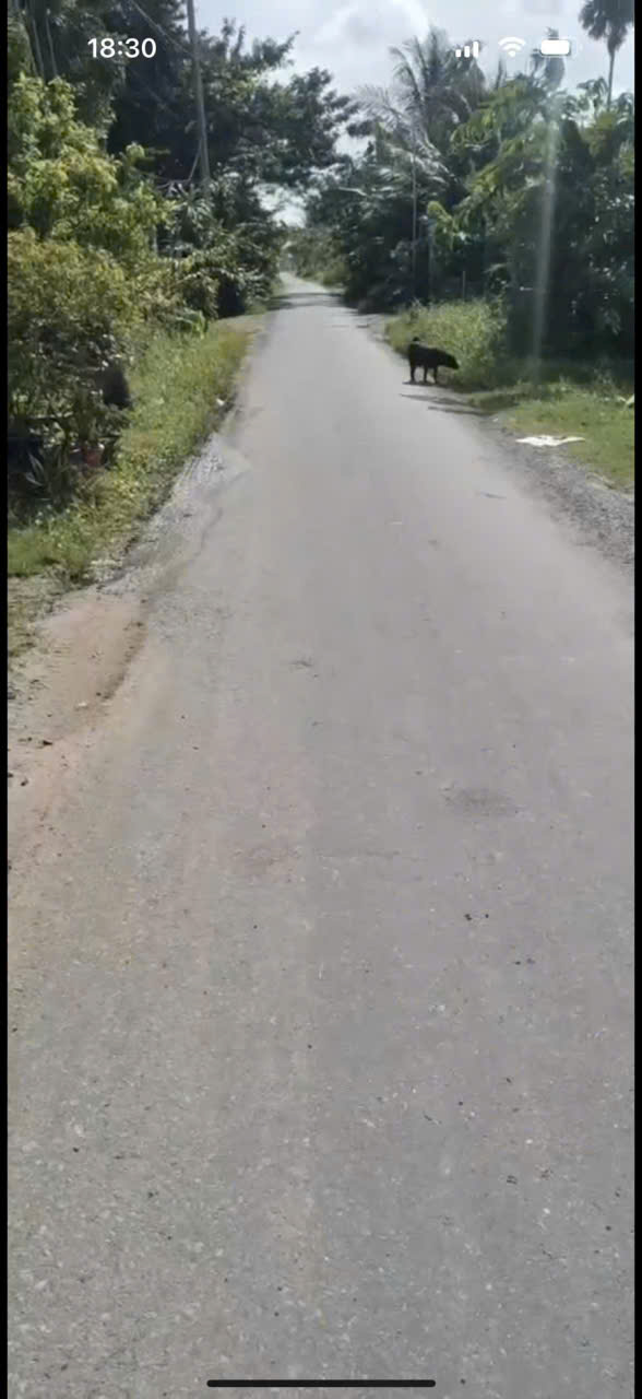 Bán đất thổ cư mt Xóm Gò, xã Đức Lập Hạ dt 130m2 giá 1,2 tỷ