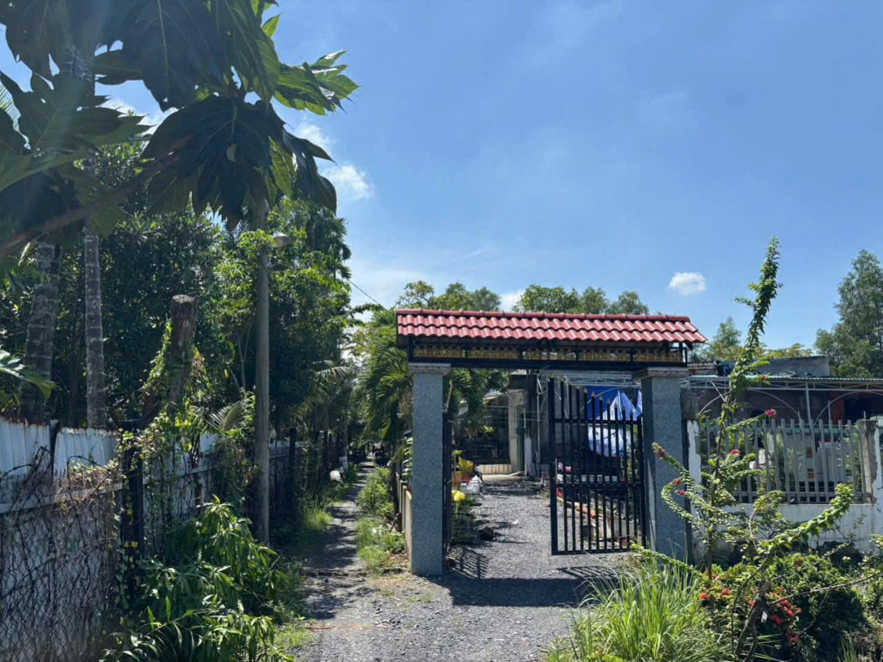 Nhà vườn thị trấn Tân Túc, Bình Chánh tdt 780m2 giá 5,3 tỷ