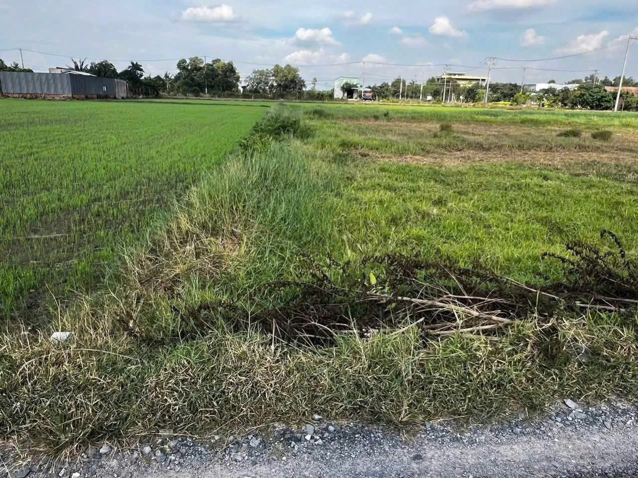 Bán đất thổ cư xã Đức Lập Hạ dt 180m2 giá 800 triệu