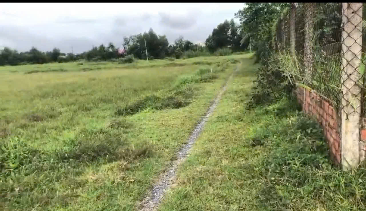 Bán đất thổ cư thị trấn Hậu Nghĩa, Đức Hòa dt 280m2 giá 1,5 tỷ