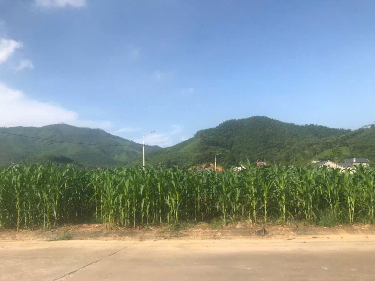 BÁN ĐẤT TRUNG TÂM THỊ TRẤN YÊN LẬP – PHÚ THỌ