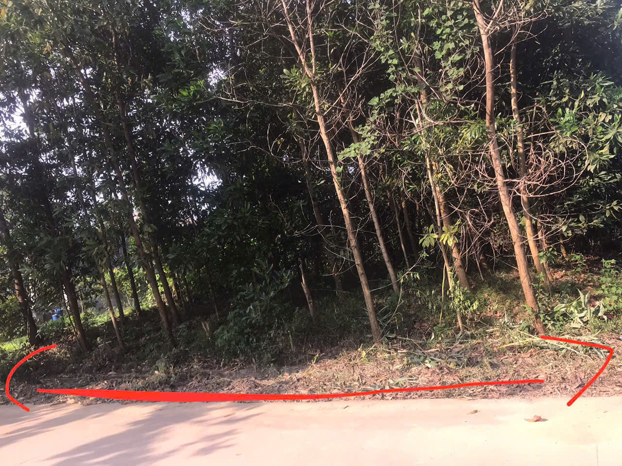 BÁN LÔ ĐẤT ĐẸP TẠI XÃ HƯƠNG LUNG – CẨM KHÊ – PHÚ THỌ