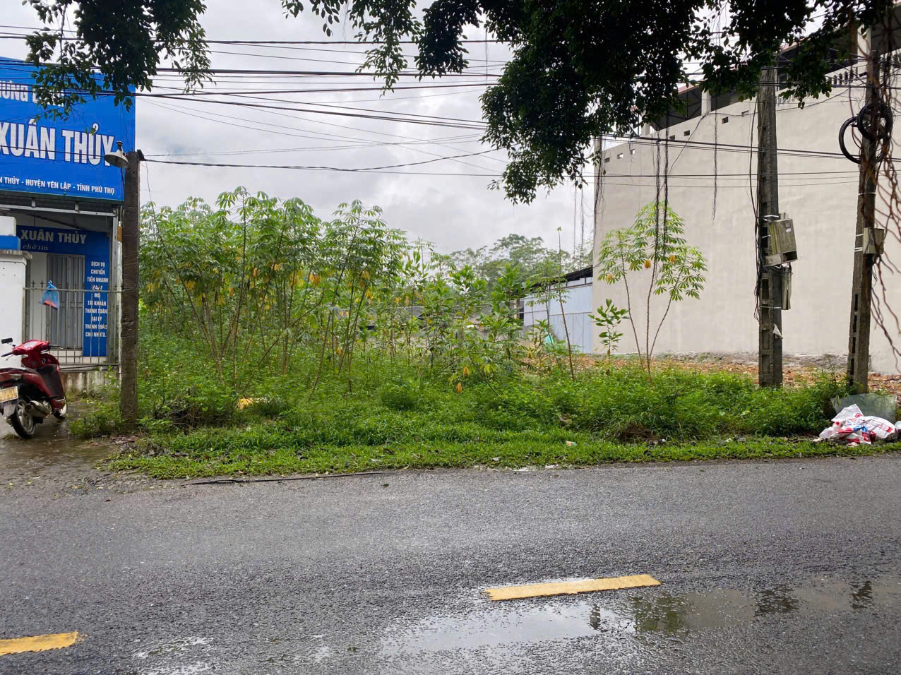 SIÊU PHẨM ĐẤT ĐẸP TẠI XUÂN THUỶ – YÊN LẬP – PHÚ THỌ