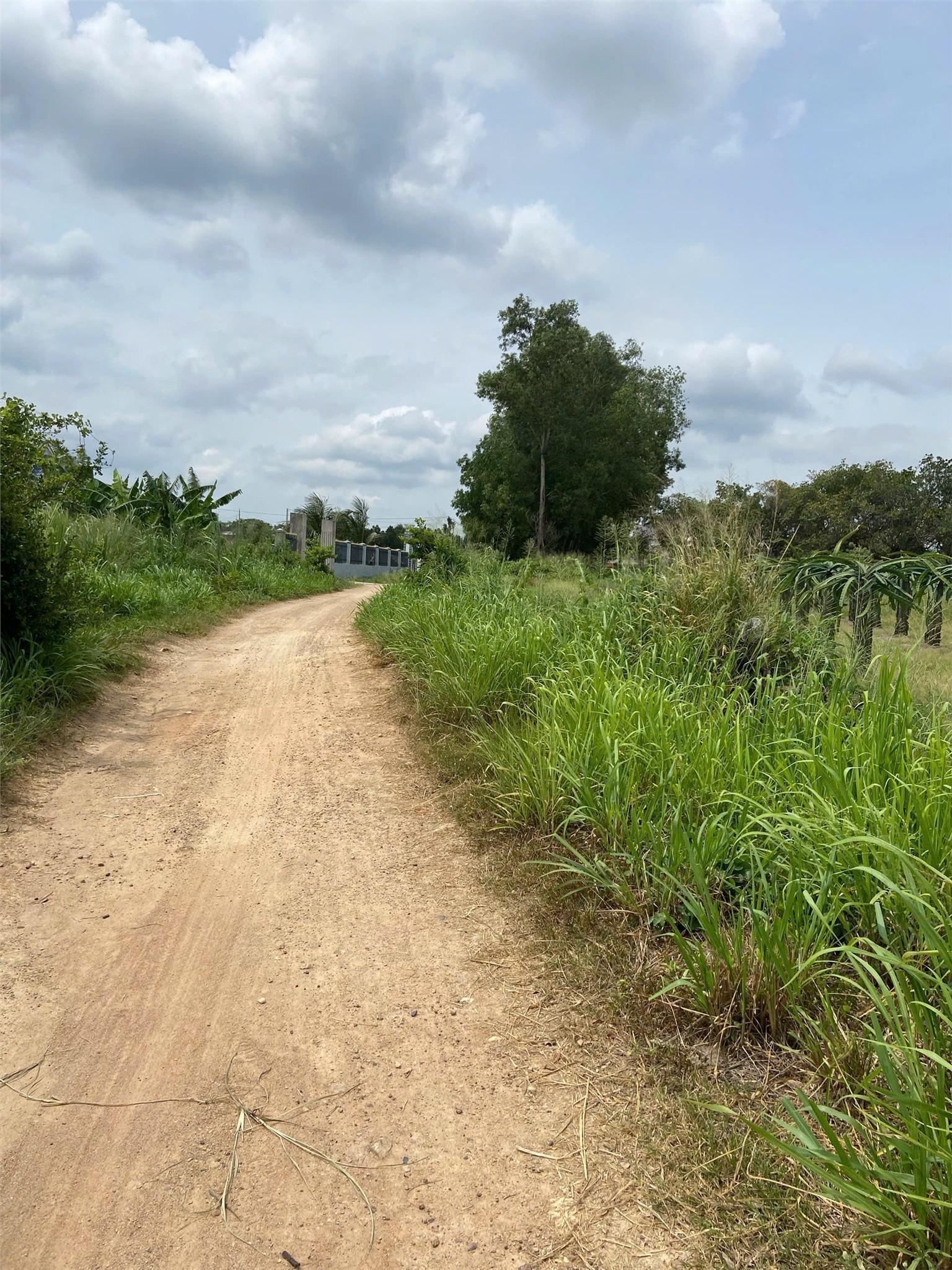 ĐẤT CHÍNH CHỦ - GIÁ TỐT - 3Ha Khu Vực Đội 7 Xã Tân Thuận, Hàm Thuận Nam, Bình Thuận