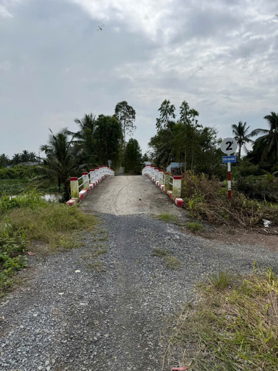 Bán đất vườn đường đá xanh xe 3 gác ,xã Tân Hòa, Bến lức dt 3000m2 giá 2,2 tỷ