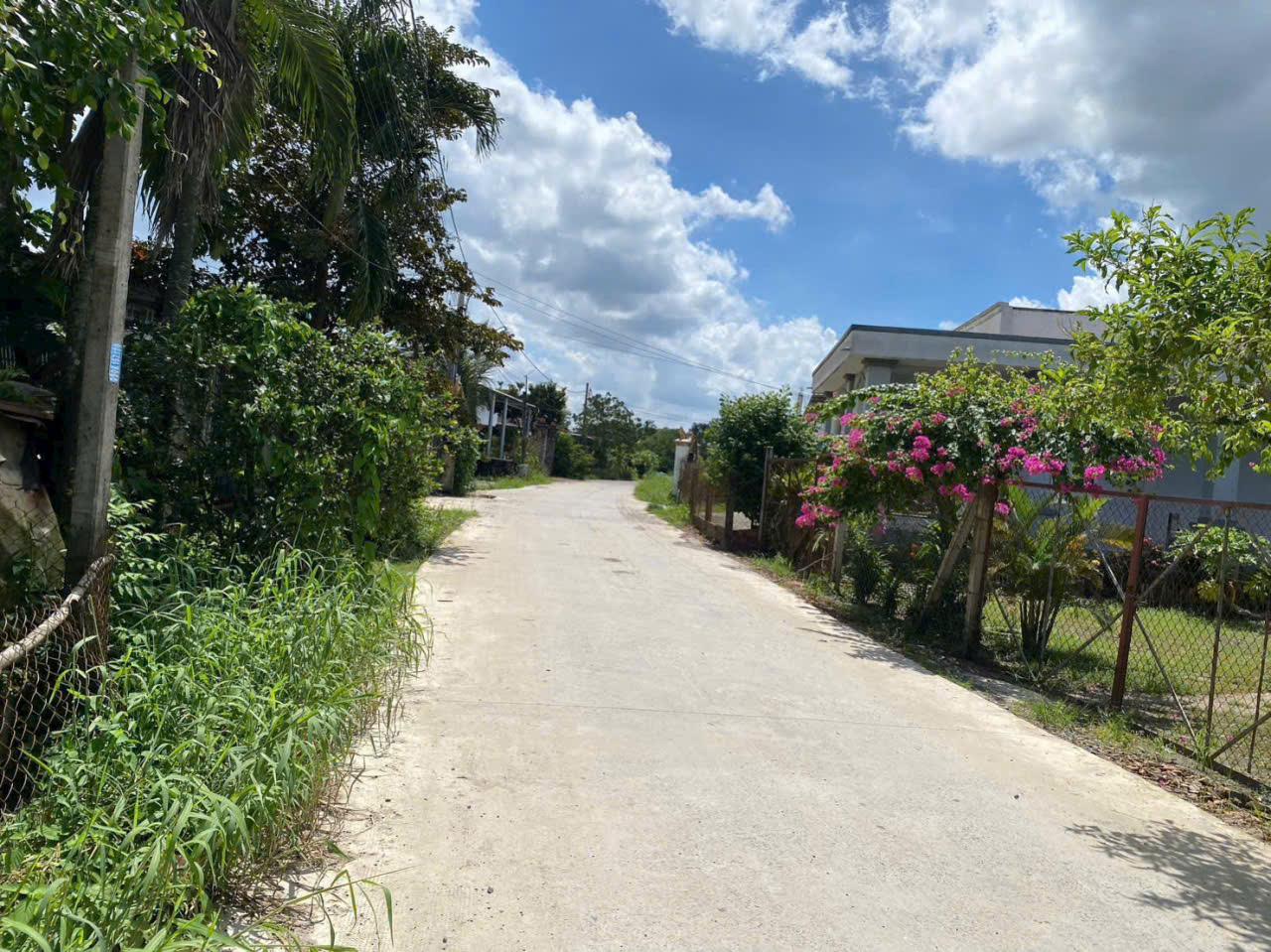 Bán đất mặt tiền kênh ở xã Tân Bửu , Bến Lức tdt 9600m2 ( có 131m2 thổ) giá 10 tỷ