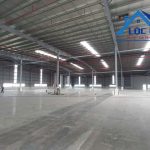  40000m2 - 3