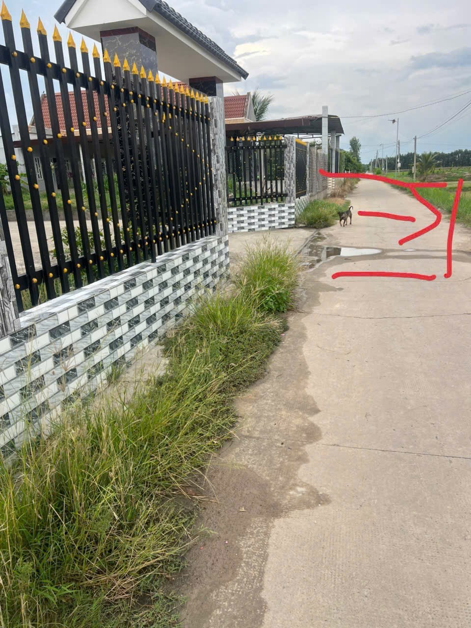 ĐẤT ĐẸP - GIÁ TỐT - Bán GẤP Lô Đất Tiềm Năng Tại Xã Bình Thành, Đức Huệ, Long An