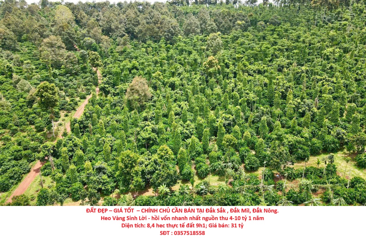 ĐẤT ĐẸP – GIÁ TỐT – CHÍNH CHỦ CẦN BÁN Lô Đất Tại Đắk Sắk , Đắk Mil, Đắk Nông