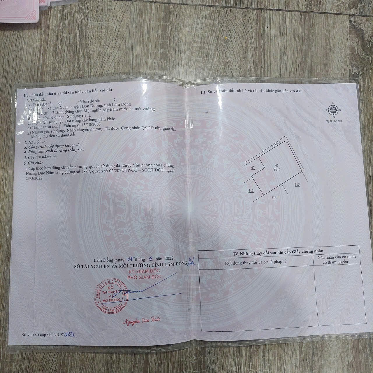 ĐẤT ĐẸP – GIÁ TỐT – CHÍNH CHỦ CẦN BÁN Tại Lạc Xuân, Đơn Dương, Lâm Đồng