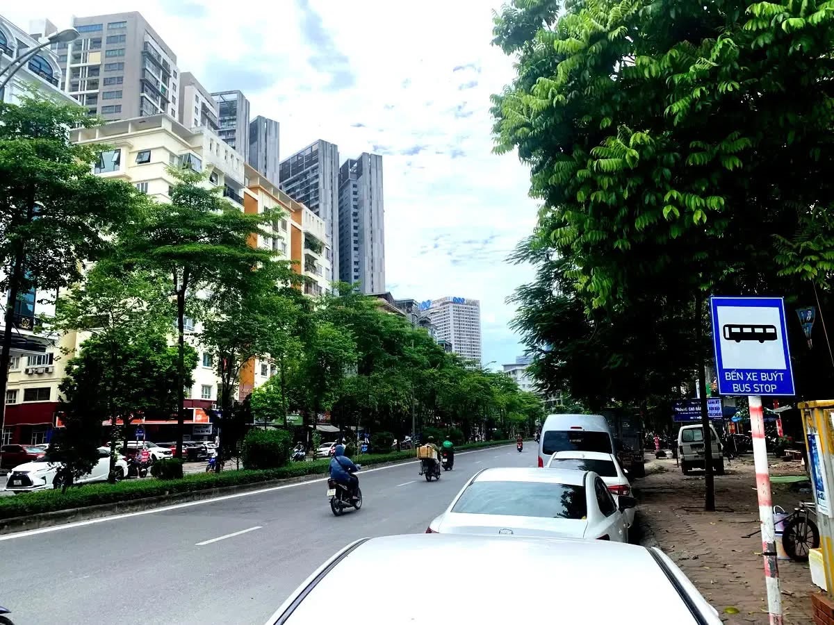 Bán nhà phố Nguyễn Hoàng DT 55m2 Mt 5.5m, phân lô, ở yên tĩnh, giá 20.5 tỷ, có TL