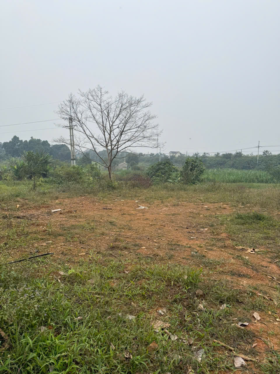 SỞ HỮU NGAY LÔ ĐẤT ĐẸP - GIÁ TỐT - Vị Trí Đắc Địa Tại Xã Yên Bài, Huyện Ba Vì, TPHN