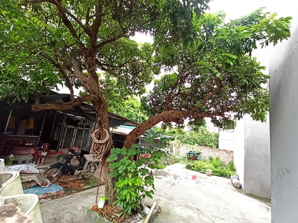 Bán đất HAI MẶT TIỀN TRƯỚC SAU, Dương Quang, Gia Lâm. Cách 1 nhà ra ô tô.