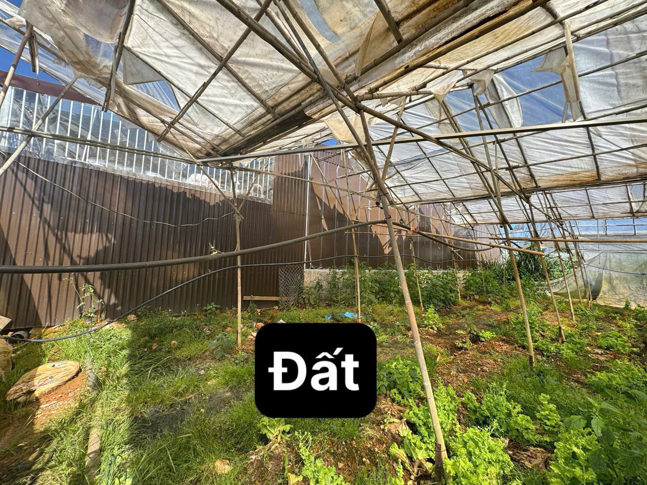 Bán lô đất sổ riêng nông nghiệp tại Đà Lạt – gần hồ Xuân Hương, đường ô tô