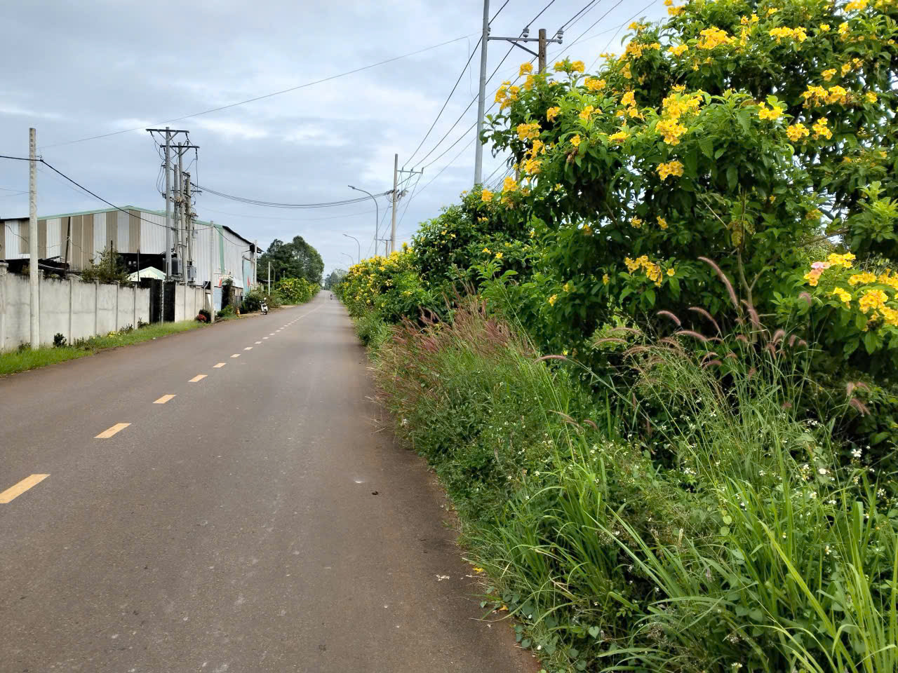 Cơ Hội Vàng Đầu Tư – Đất Mặt Tiền TP.HCM (BRVT cũ)