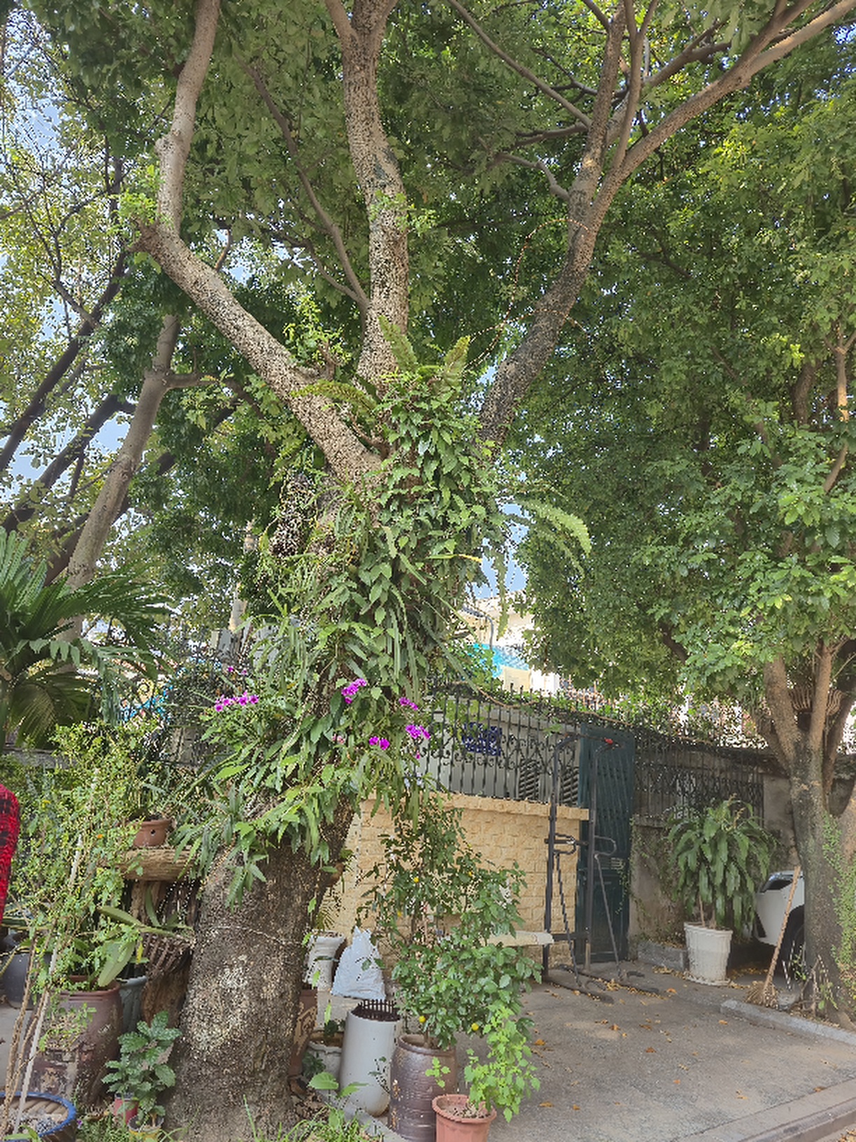 Bán nhà ở yên tĩnh, ô tô vào nhà, khu VIP, Lạc Long Quân, Tây Hồ