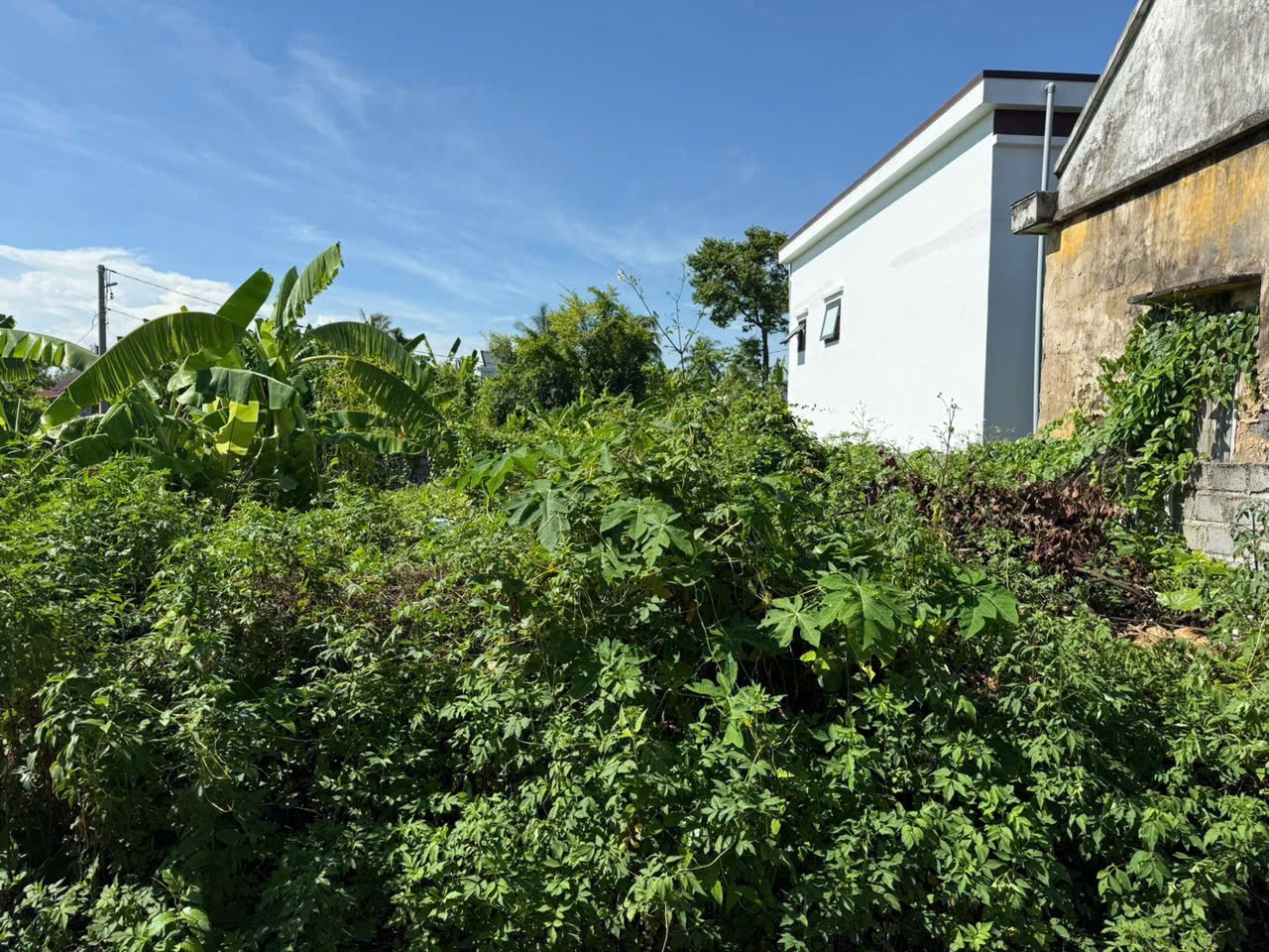 61.6M² TRUNG TÂM BÀNG LA – Ô TÔ ĐỖ CỬA – GIÁ CHỈ HƠN 8XX TRIỆU – CỬA VỐN HIẾM ZALO 0567 222 555