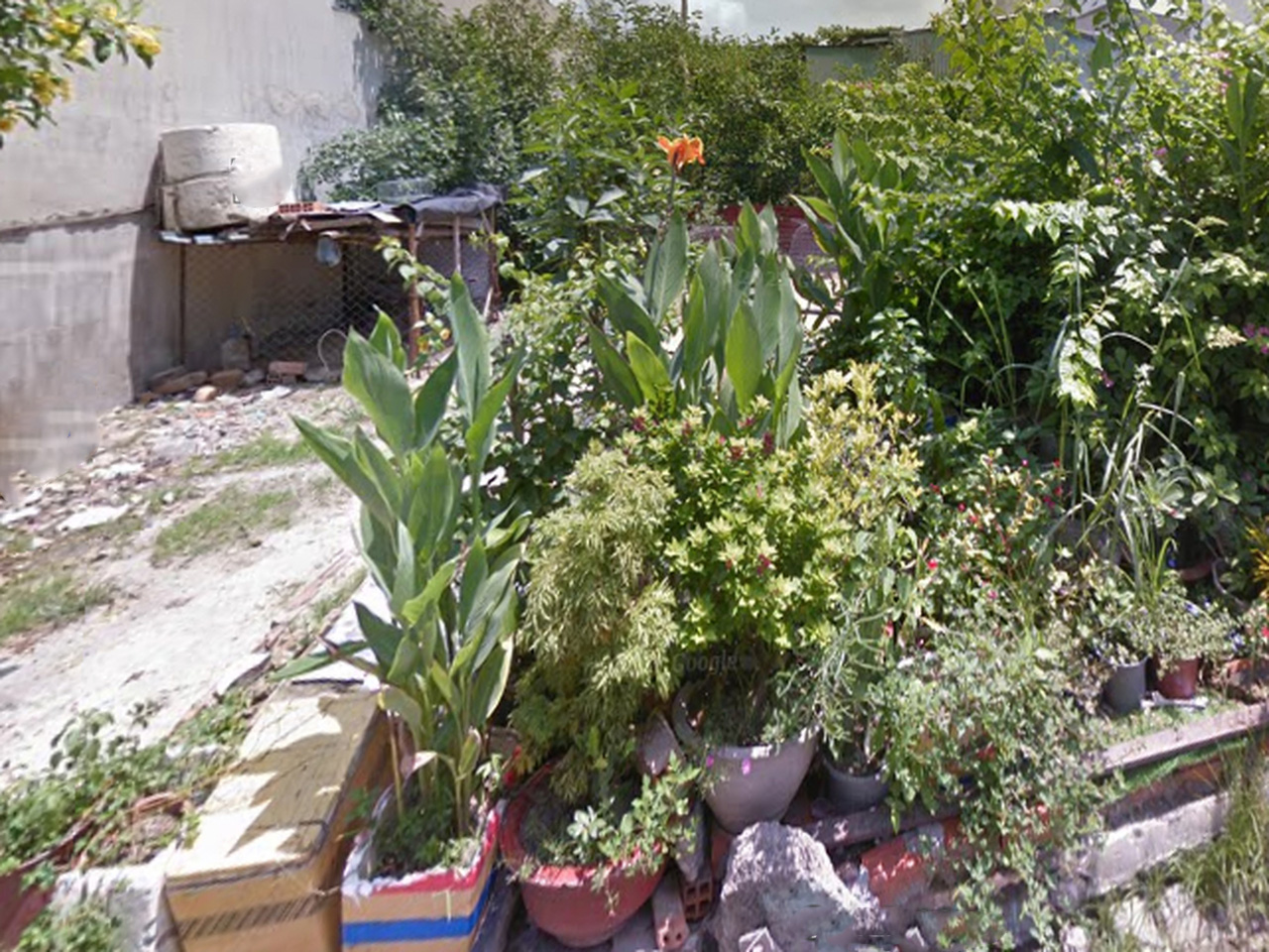 O1720 Giảm 800tr! đất Phan Văn Hớn Q12, SHR, Vuông, HXT, 8x18m, 5.x tỷ